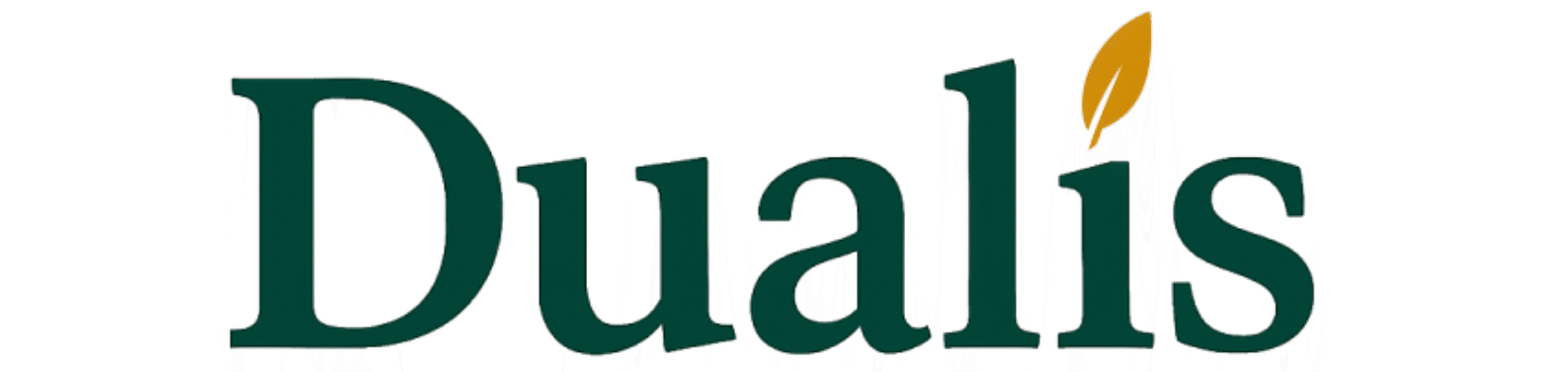 dualisacademy.com